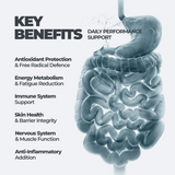 Antioxidant Complex DY Life, 60 Softgels, 60 Servings